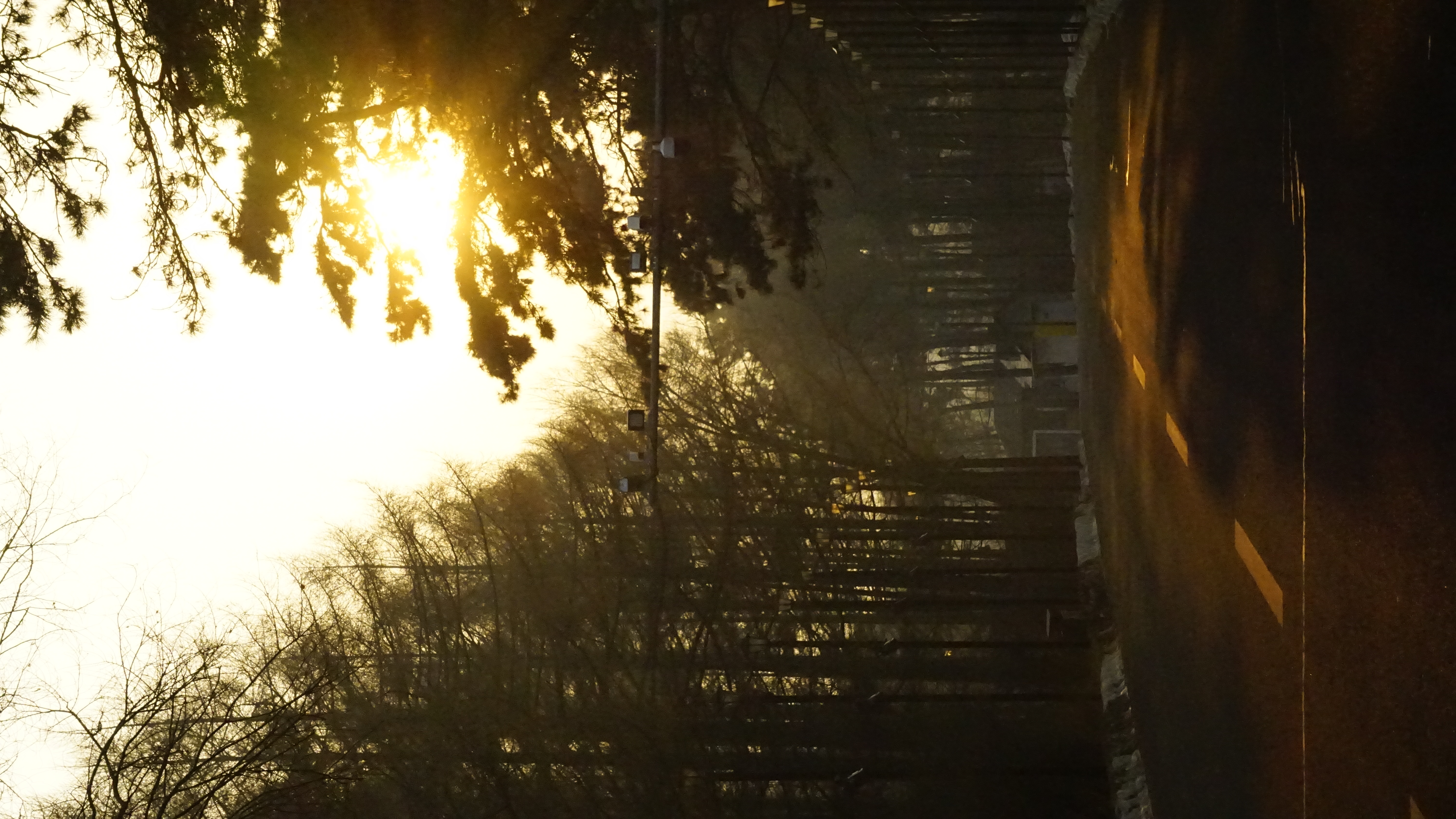 sunshine
